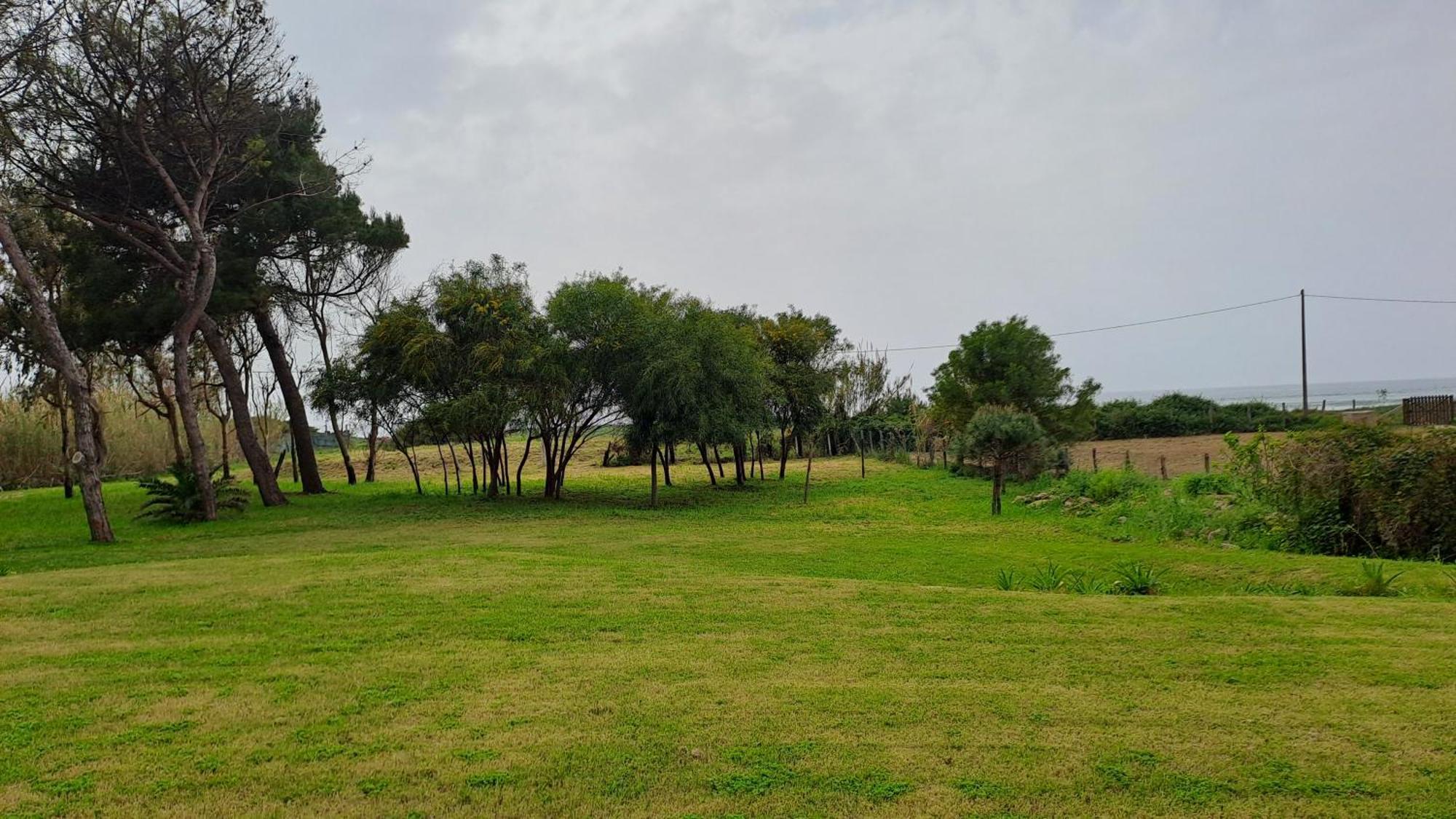Villa Agapanto Paestum Eksteriør billede